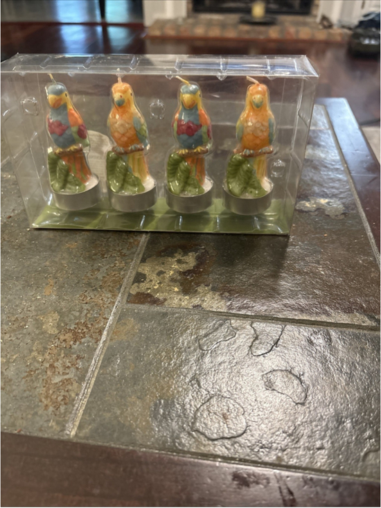 Coast Plus Inc. Other - Small Colorful Parrot Tea Light Candles 4 New